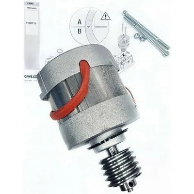 Двигатель CAME 119RIY036