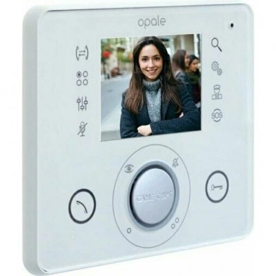 Абонентское устройство CAME OPALE WHITE 62100270 Абонентское устройство CAME OPALE WHITE 62100270